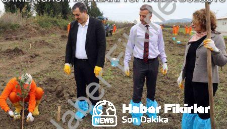 Dalaman Açık Cezaevi’nde Üretime Destek: Sakız Ağacı Fidanları Toprakla Buluştu