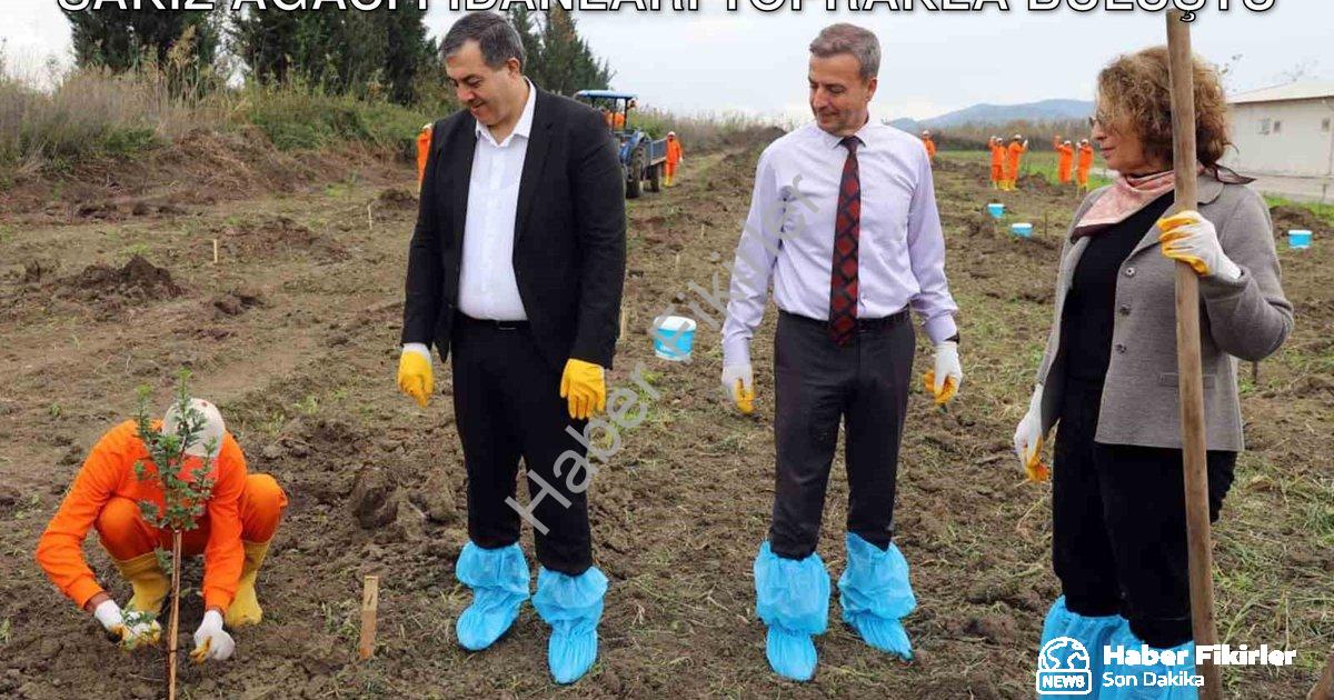 "Dalaman Açık Cezaevi'nde Üretime Destek: Sakız Ağacı Fidanları Toprakla Buluştu" başlıklı haber içi