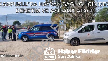 Karpuzlu’da Hayvan Sağlığı İçin Dev Denetim ve Aşılama Atağı