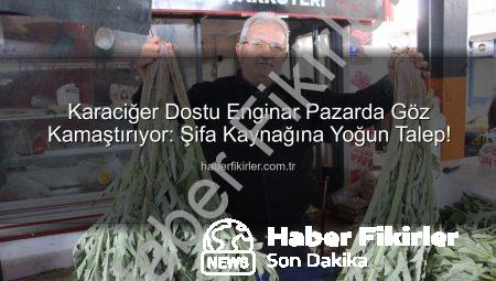 Karaciğer Dostu Enginar Pazarda Göz Kamaştırıyor: Şifa Kaynağına Yoğun Talep!
