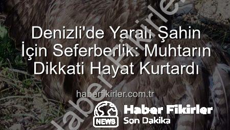 Denizli’de Yaralı Şahin İçin Seferberlik: Muhtarın Dikkati Hayat Kurtardı