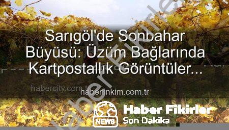 Sarıgöl’de Sonbaharın Büyüsü: Üzüm Bağlarında Kartpostallık Budama Zamanı ve Yevmiyeler Açıklandı