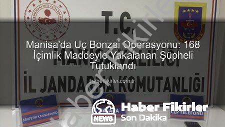 Manisa’da Uç Bonzai Operasyonu: 168 İçimlik Maddeyle Yakalanan Şüpheli Tutuklandı