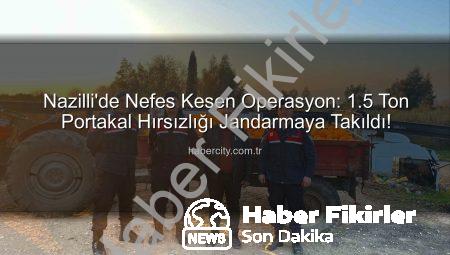 Nazilli’de 1,5 Ton Portakal Hırsızlığı Jandarmadan Döndü: Şüpheliler Suçüstü Yakalandı