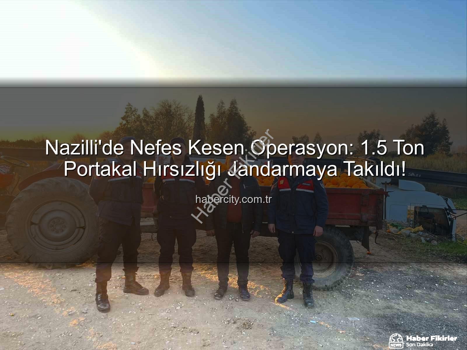 portakal hırsızlığı - Nazilli'de 1,5 Ton Portakal Hırsızlığı Jandarmadan Döndü: Şüpheliler Suçüstü Yakalandı