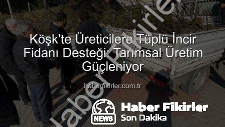 Köşk’te Üreticilere Tüplü İncir Fidanı Desteği: Tarımsal Üretim Güçleniyor