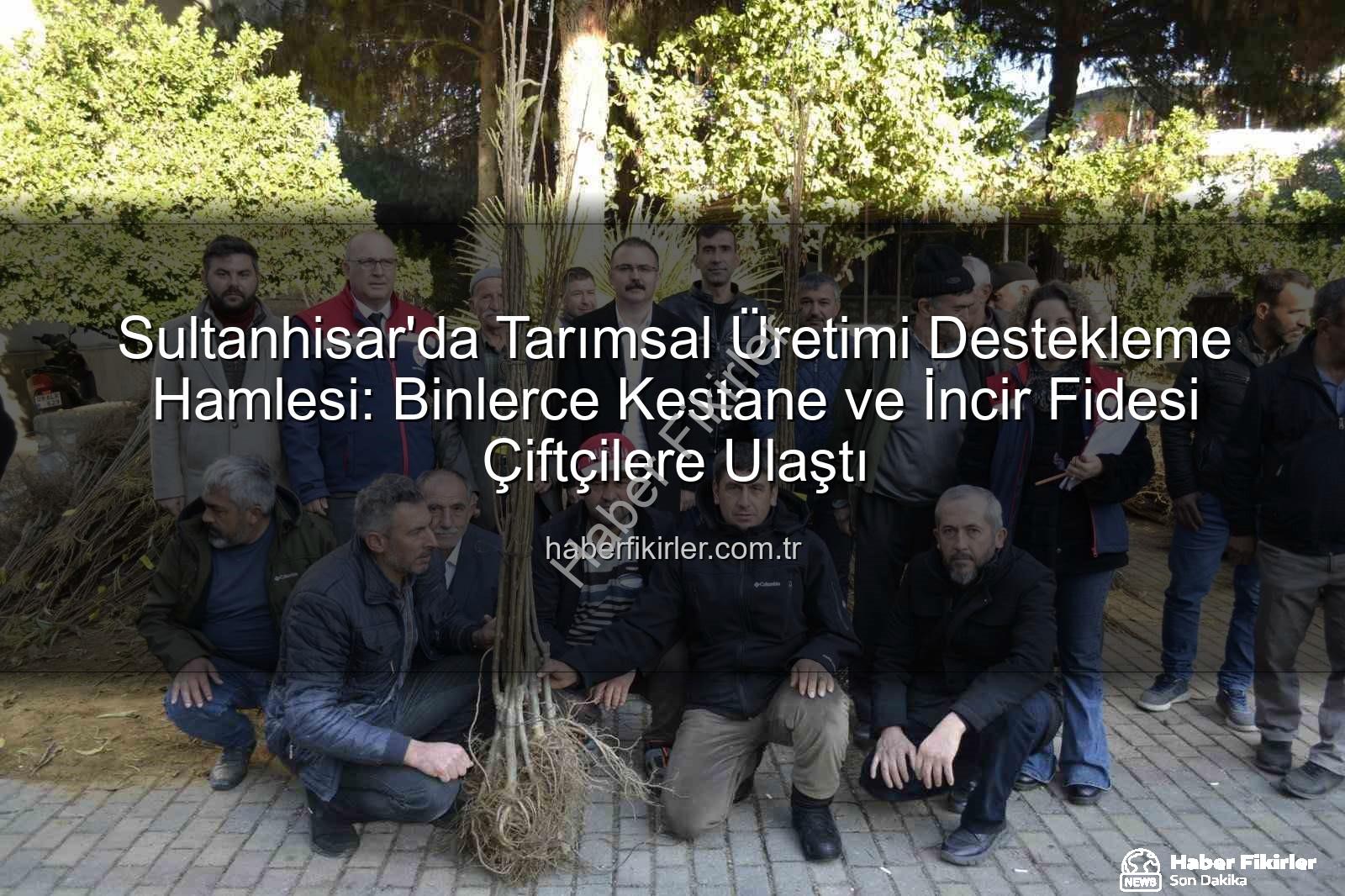 kestane incir fidesi - Sultanhisar'da Tarımsal Üretimi Destekleme Hamlesi: Binlerce Kestane ve İncir Fidesi Çiftçilere Ulaştı