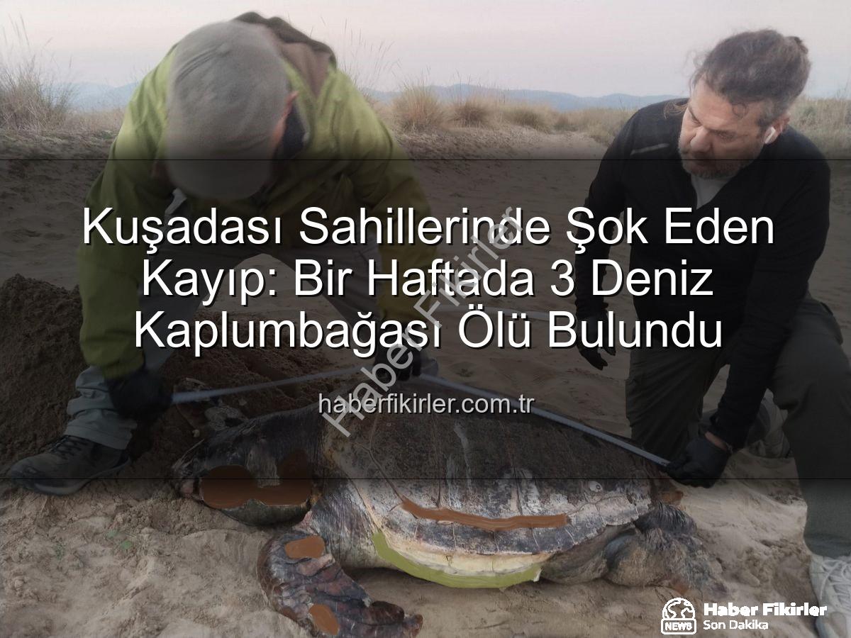 deniz kaplumbağası - Kuşadası Sahillerinde Şok Eden Kayıp: Bir Haftada 3 Deniz Kaplumbağası Ölü Bulundu