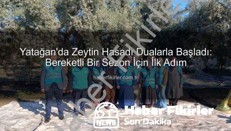 Yatağan’da Zeytin Hasadı Dualarla Başladı: Bereketli Bir Sezon İçin İlk Adım
