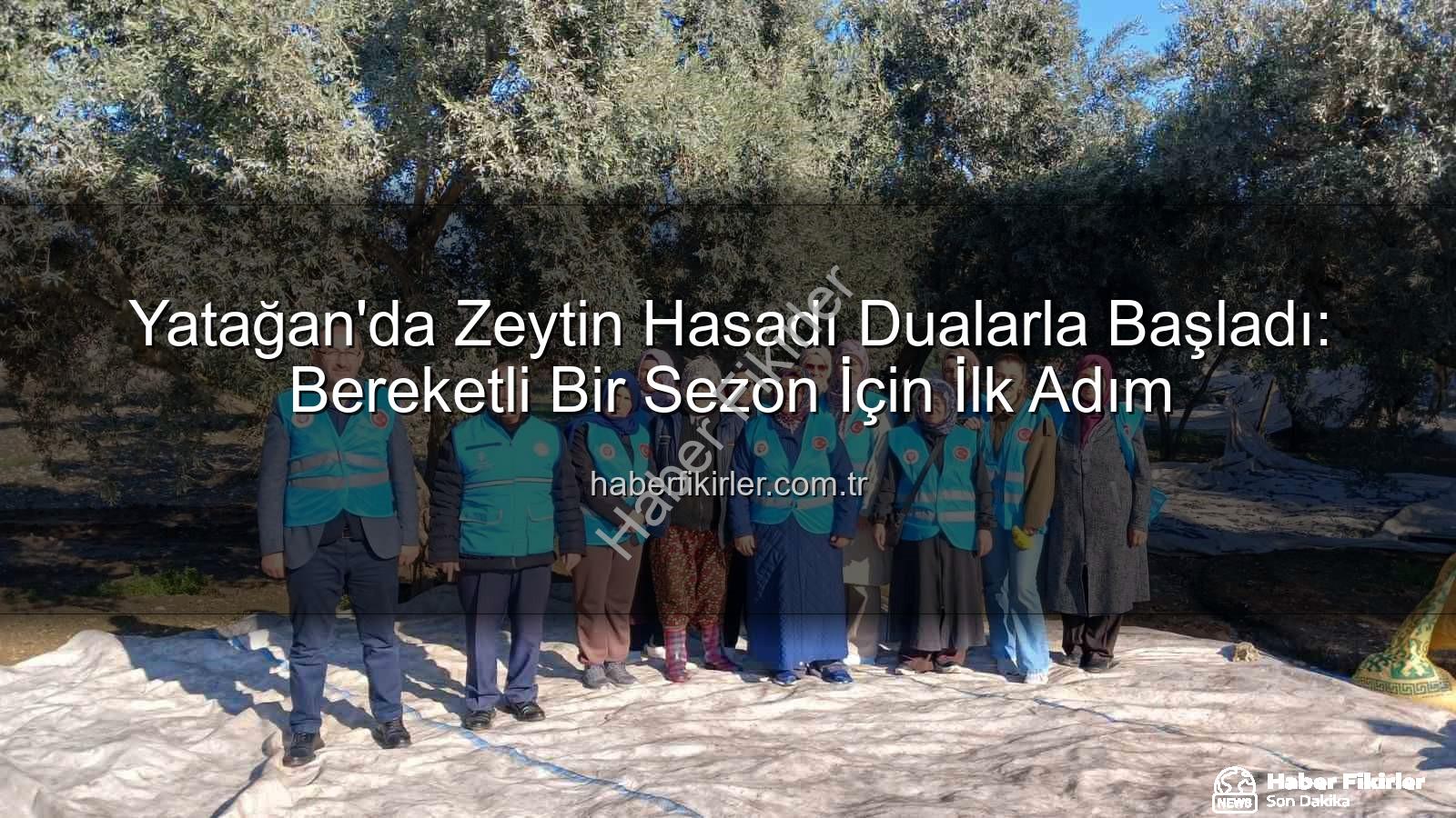 Yatağan zeytin hasadı - Yatağan'da Zeytin Hasadı Dualarla Başladı: Bereketli Bir Sezon İçin İlk Adım