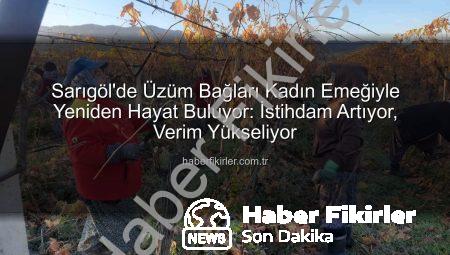 Sarıgöl’de Üzüm Bağları Kadın Emeğiyle Yeniden Hayat Buluyor: İstihdam Artıyor, Verim Yükseliyor
