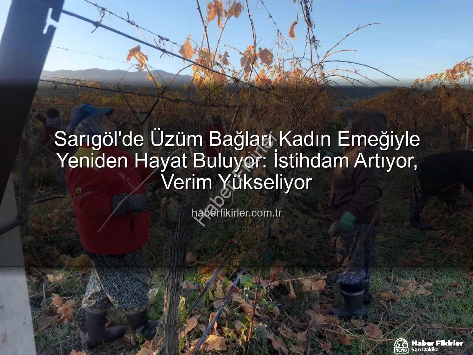 kadın istihdamı - Sarıgöl'de Üzüm Bağları Kadın Emeğiyle Yeniden Hayat Buluyor: İstihdam Artıyor, Verim Yükseliyor