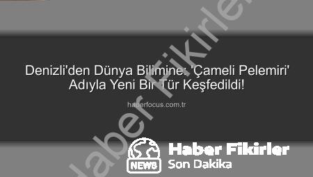 Bilim Dünyasına Yeni Bir Katkı: Çameli’nin Gizemli Bitkisi ‘Çameli Pelemiri’ Keşfedildi