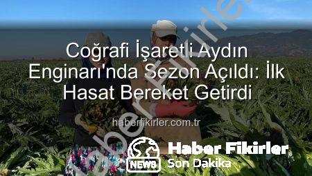 Coğrafi İşaretli Aydın Enginarı’nda Sezon Açıldı: İlk Hasat Bereket Getirdi