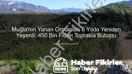 Muğla’nın Yanan Ormanları 6 Yılda Yeniden Yeşerdi: 450 Bin Fidan Toprakla Buluştu