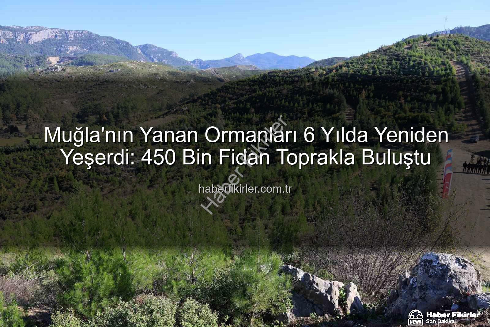 orman ağaçlandırma - Muğla'nın Yanan Ormanları 6 Yılda Yeniden Yeşerdi: 450 Bin Fidan Toprakla Buluştu