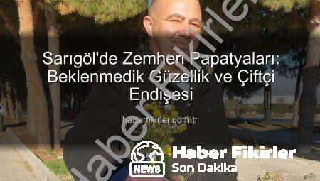 Sarıgöl’de Zemheri Papatyaları: Beklenmedik Güzellik ve Çiftçi Endişesi